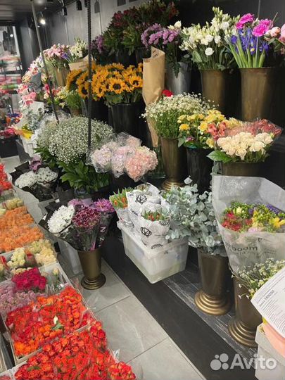 Гвоздика Диантус букет опт