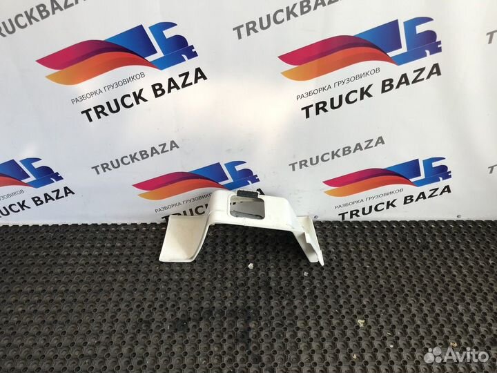 81615100644 Корпус подножки правой