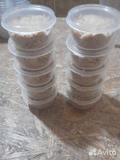 Мотыль, опарыш, черви