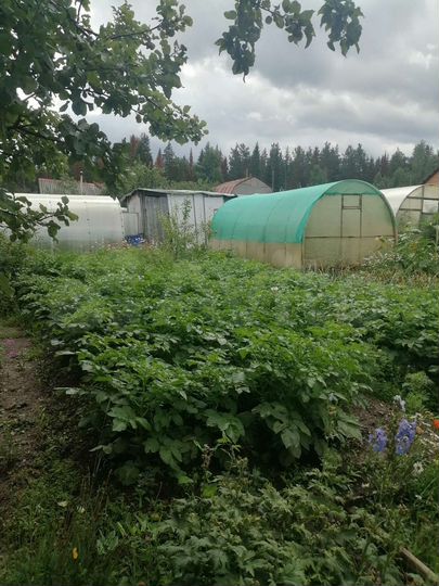 Дача 20 м² на участке 3,8 сот.