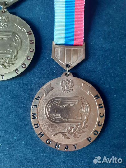 Чемпионат России тренер, чемпион, 3 место