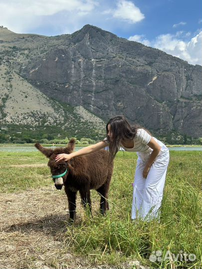 Дагестан за 4 дня