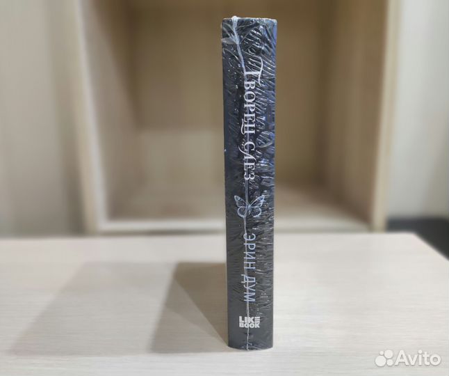 «Творец слёз», Эрин Дум