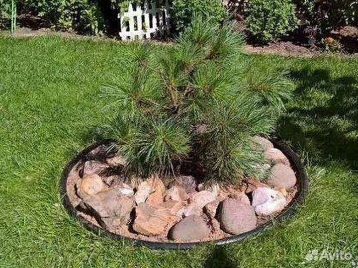 Бордюрная лента садовая канта