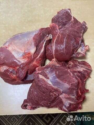 Продам мясо говядина