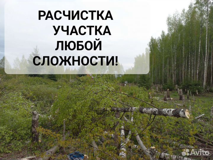 Спил деревьев,Расчистка участков