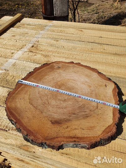 Спилы дерева