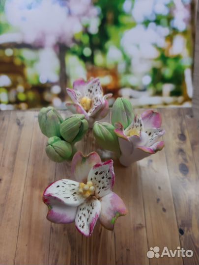 Формы для мыловарения