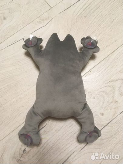 Авто кот