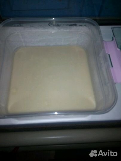 Корм для мальков,культура нематода, алофорус