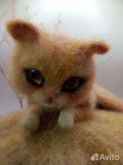 Кот Котенок