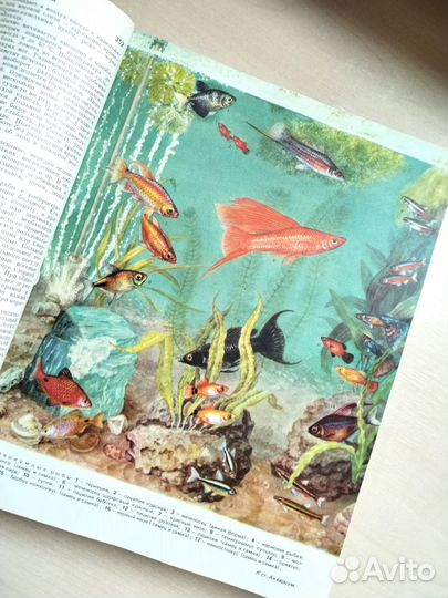 Краткая энциклопедия домашнего хозяйства 1979 г