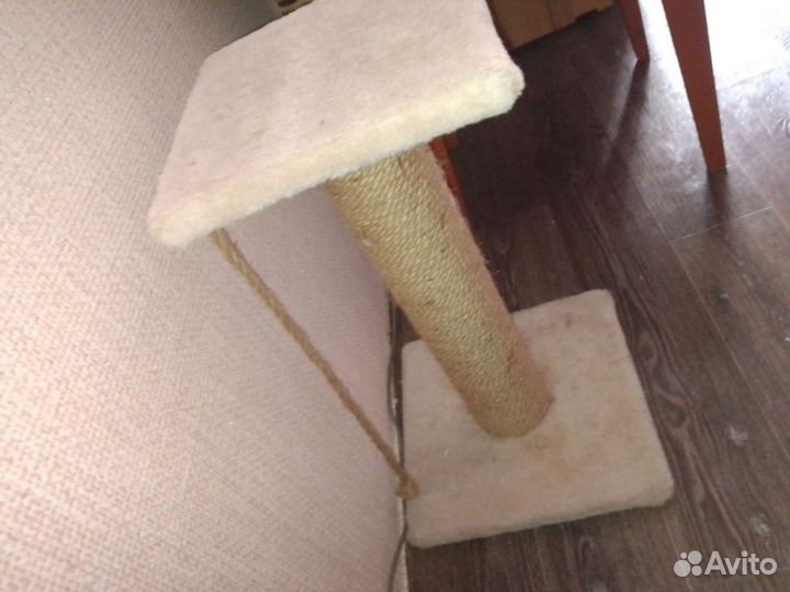 Когтеточка