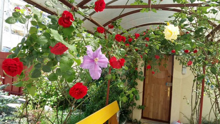 Комната 18 м², 1/3 эт.