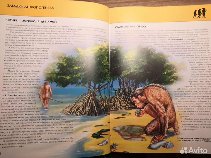 Энциклопедия