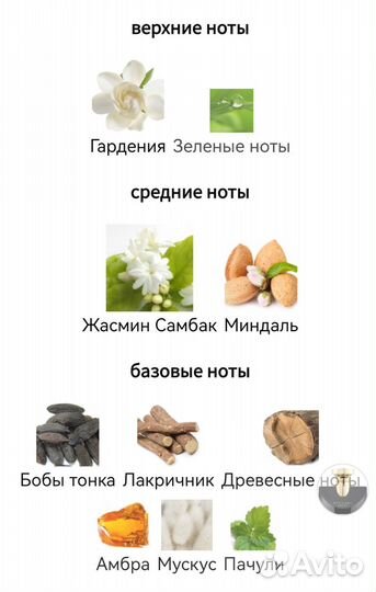 Bvlgari jasmin noir духи