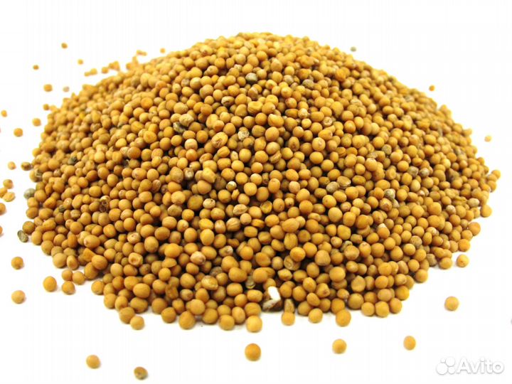 Горчица белая (семена)