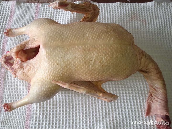 Курочка