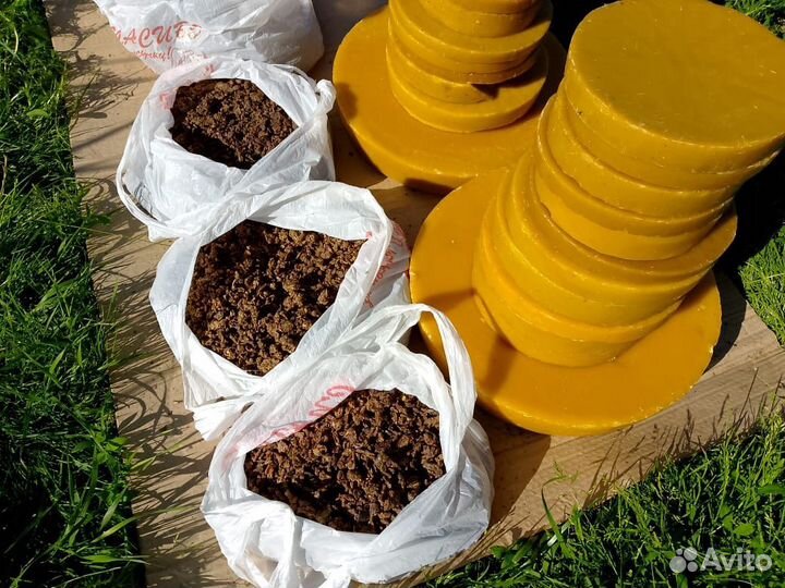 Прополис пчелиный