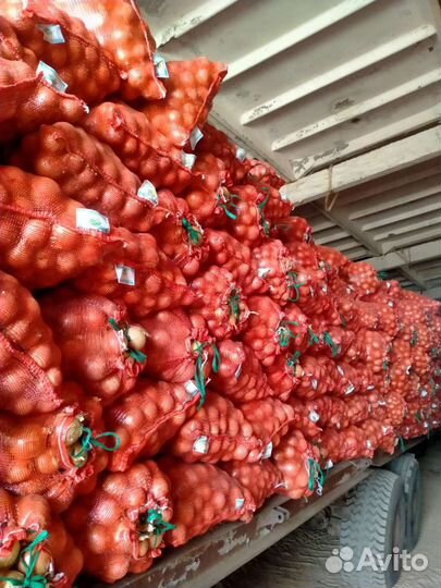 Продам лук Оптом