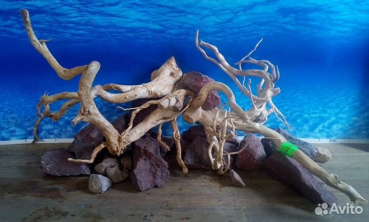 Обслуживание и дизайн аквариумов