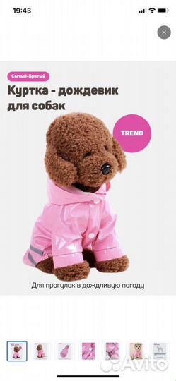 Дождевик для собаки