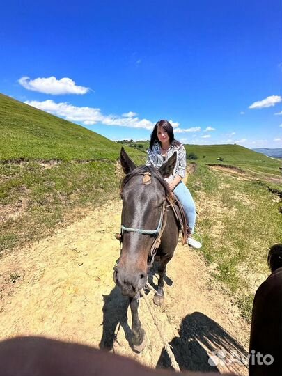 Конные прогулки