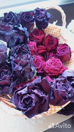 Сухоцветы для творчества розы