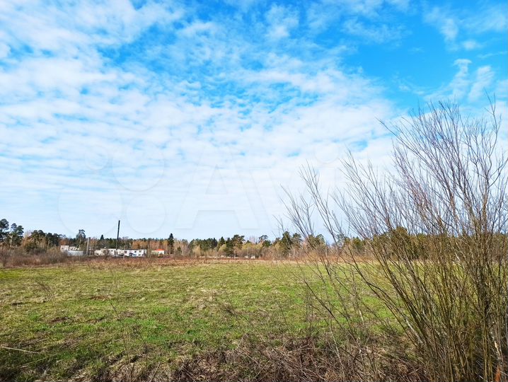 Участок 1,25 га (СНТ, ДНП)