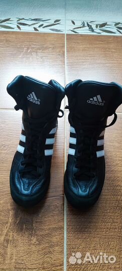 Боксерки adidas probout