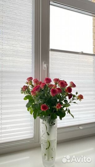 Рулонные шторы / жалюзи