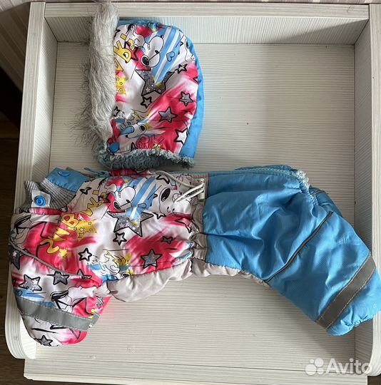 Одежда для маленьких собак