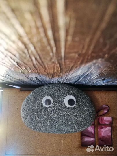 Камень питомец