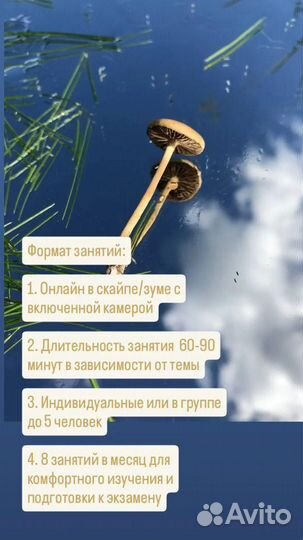 Репетитор по биологии ОГЭ онлайн