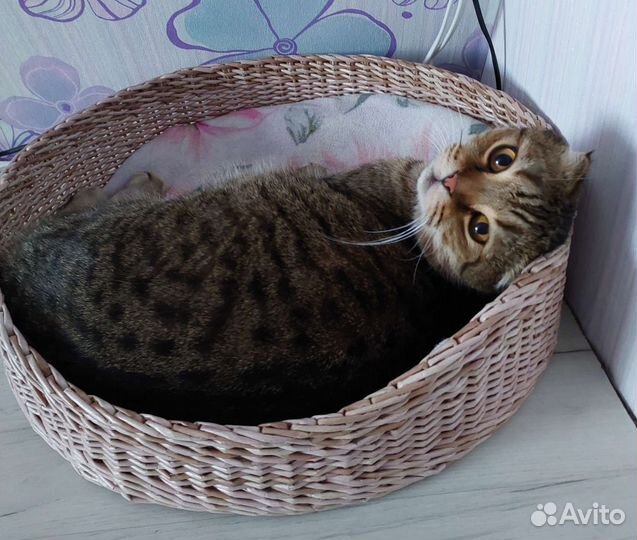 Лежанка для животных