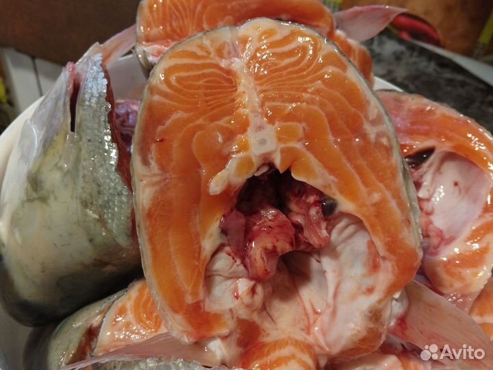 Головы лосося