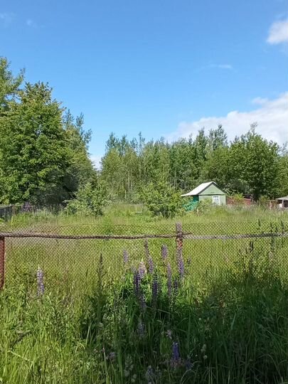 Дача 20 м² на участке 10 сот.