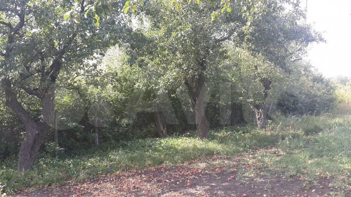 Участок 23 сот. (ИЖС)