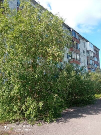 2-к. квартира, 48,6 м², 1/5 эт.