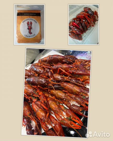 Египетские варено-мороженные раки