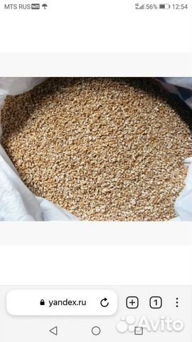 Авес, пшеница, ячмень