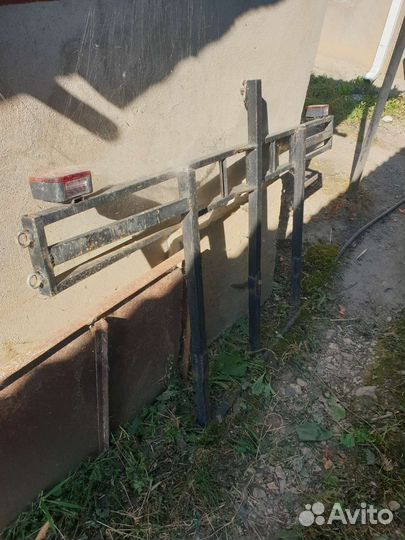 Мотохвост