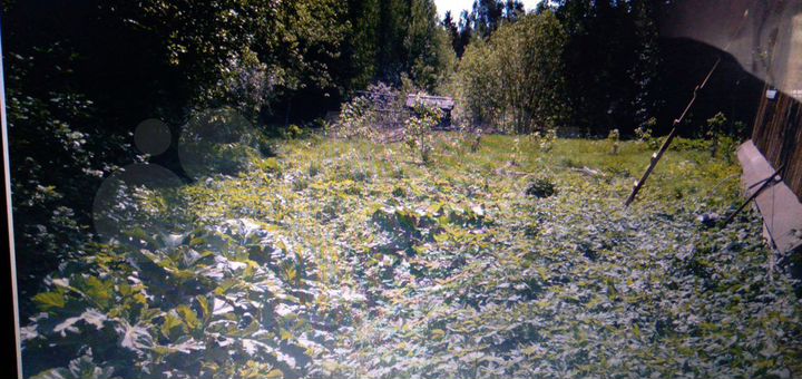 Дом 70,5 м² на участке 20 сот.