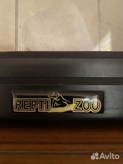 Террариум для рептилий