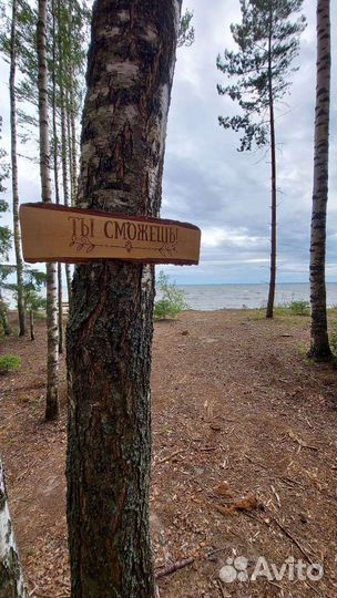 Табличка указатель на спилах