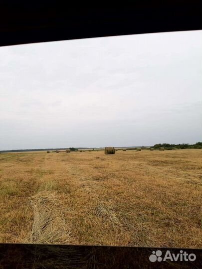 Сено-люцерка