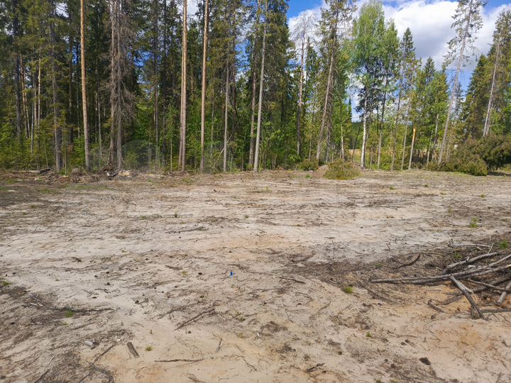 Участок 8,5 сот. (ИЖС)