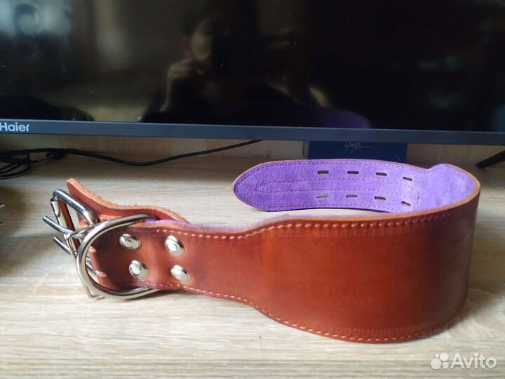 Ошейник для собак