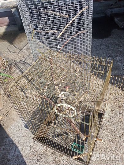 Клетки для попугая