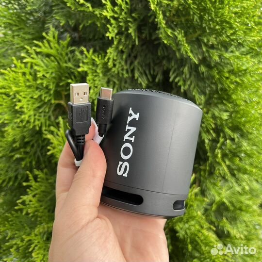 Bluetooth колонка Sony